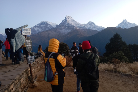 Ghorepani: Wanderung auf dem Poon HillStandard-Option