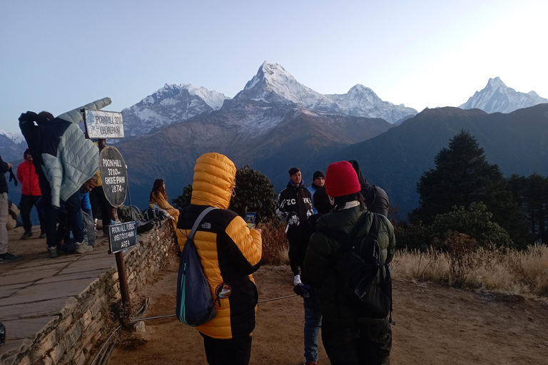 Ghorepani: Wanderung auf dem Poon HillStandard-Option