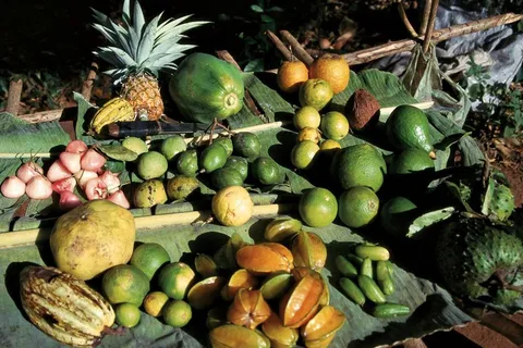 Zanzibar: Prison Island, Spice, Nakupenda & Stone Town Tour