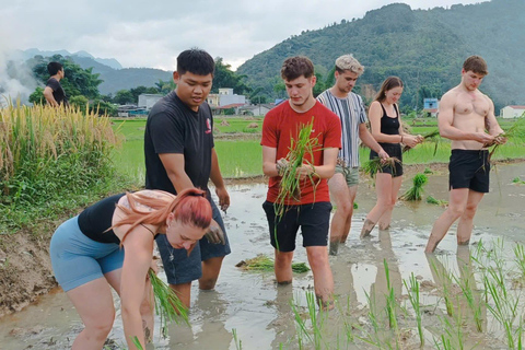 Hà Giang HORIZONTE DE DIVINIDAD Tour con jinete local fácil 3 DíasHa Giang HORIZONTE DE DIVINIDAD Tour con jinetes locales fáciles 3 Días