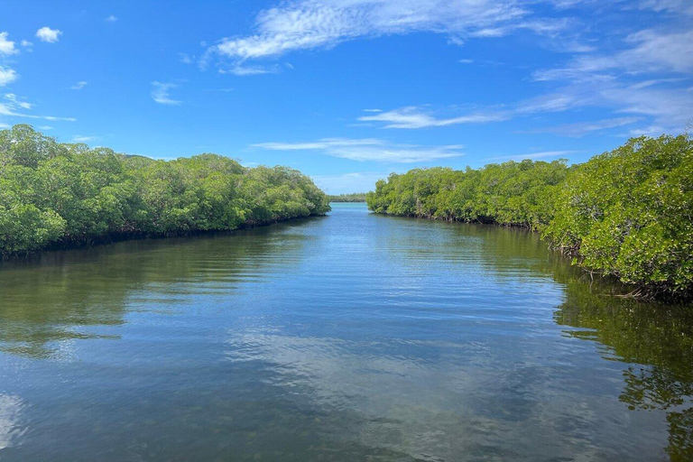 Private: Cayo Arena Luxury Catamaran & Snorkeling Adventure