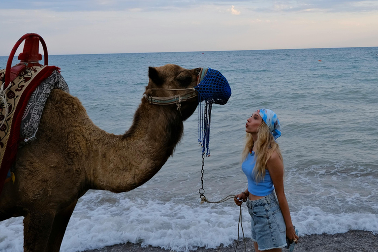 Djerba: Camel Ride, Flamingos, and Lagoon Tour