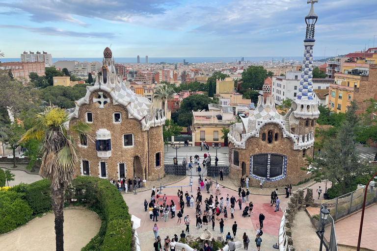 Il giardino di Gaudí: tour guidato del Parco Güell