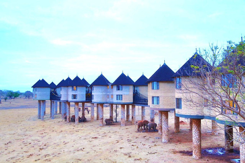 Salt Lick Safari Lodge: tour di 2 giorni da Nairobi o MombasaNairobi o Mombasa: tour di 2 giorni al Salt Lick Safari Lodge