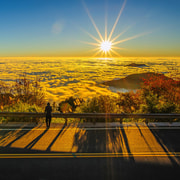 From Taipei City: 3-Day Sun Moon Lake & Alishan Private Tour From Taipei City: 3-Day Sun Moon Lake & Alishan Private Tour