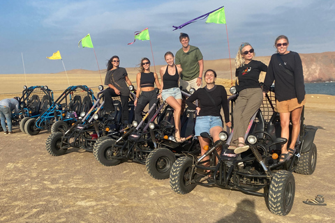 Paracas: National Reserve Mini Buggy Tour with Sunset