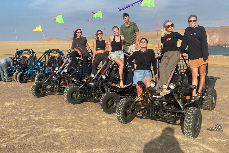 Paracas: National Reserve Mini Buggy Tour with Sunset