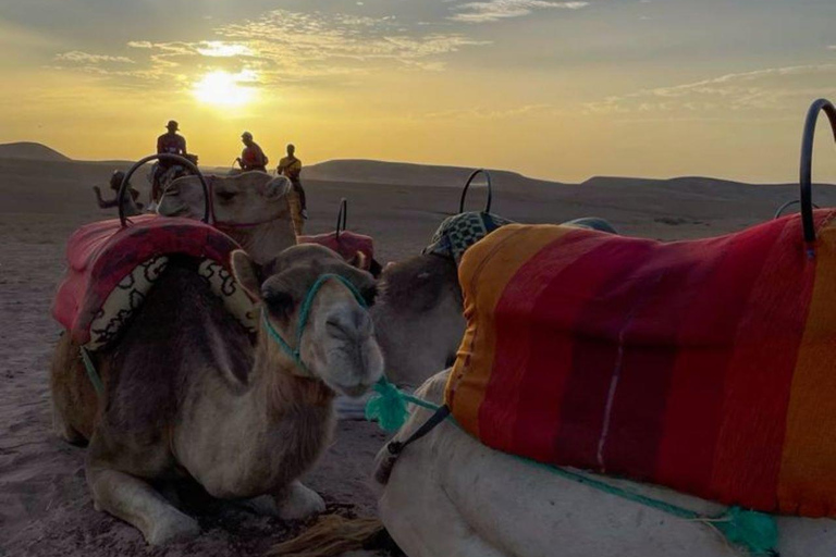 Marrakech: Camel & Quad Bike Tour with Sunset, Dinner & Show