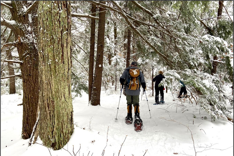 Guided Winter Snowshoe Adventure from Boston