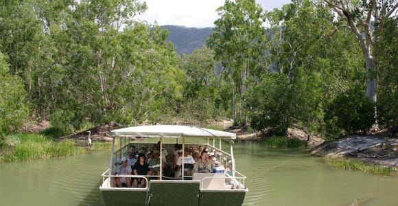 Cairns Shore Excursion: Crocodile & Wildlife Park Tour