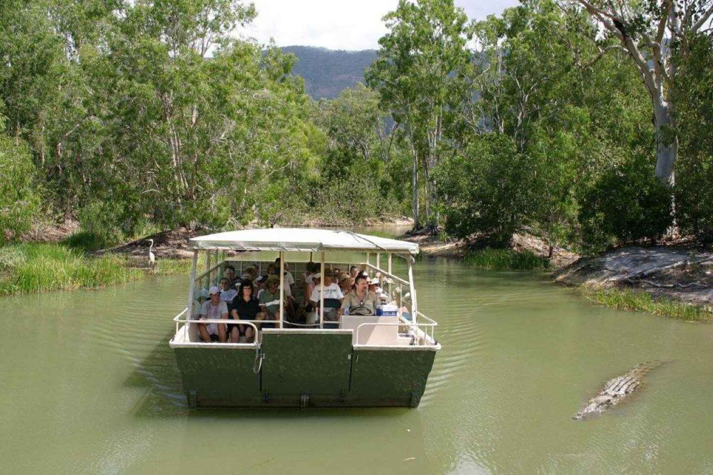 Cairns Shore Excursion: Crocodile & Wildlife Park Tour - Cairns: Hartley's Crocodile Adventures Visit for Cruise