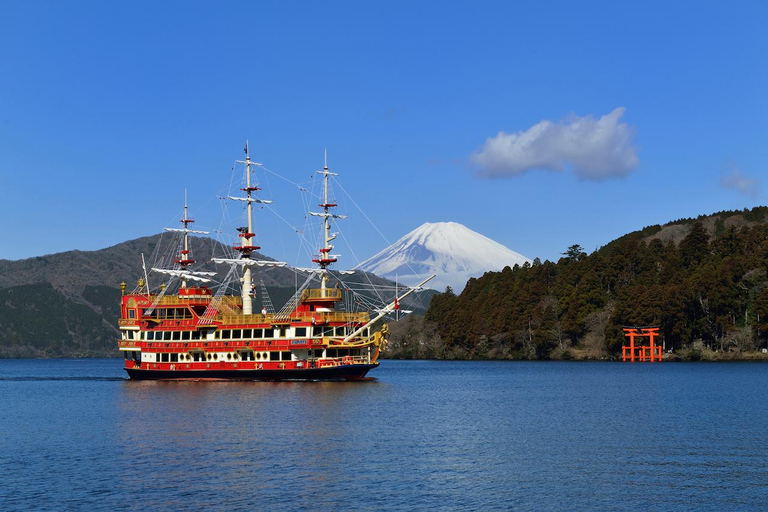 Tokio: Monte Fuji y Hakone Tour privado de 1 día