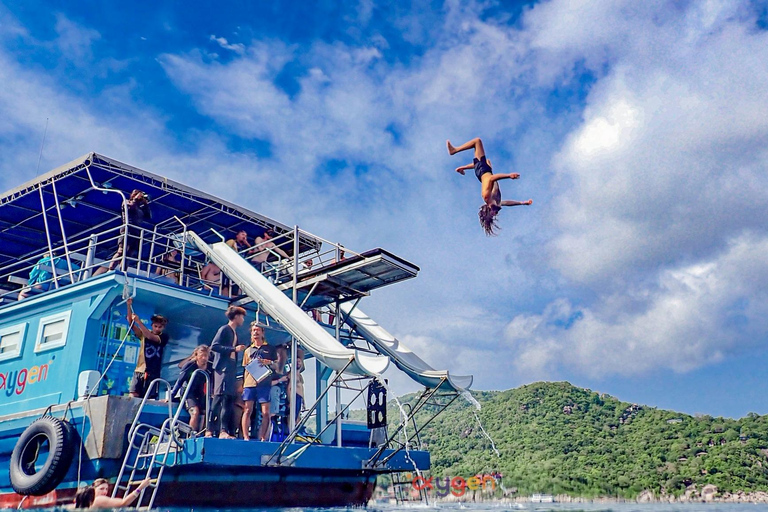 Koh Tao in a Day: Turtles, Hidden Reefs & Nangyuan Viewpoint
