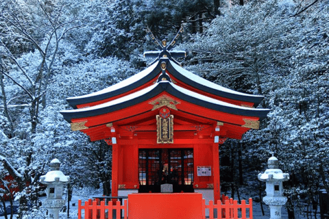 From Tokyo: Mount Fuji & Hakone Private Tour with Guide