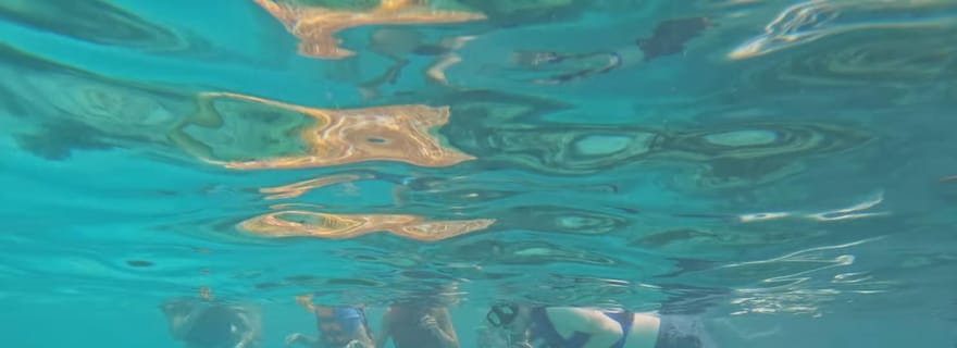 Plage d'Akumal : snorkeling avec tortues et photos Gopro