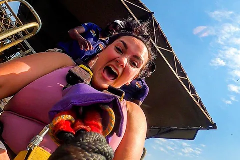 Victoria Falls: Bridge Swing