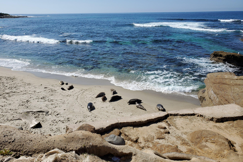 Excursión a San Diego desde Los Ángeles