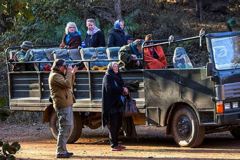 Ranthambore National Park: Jeep- eller Canter-safari