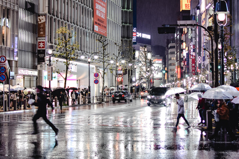 Visite privée de Tokyo en voiture avec prise en charge