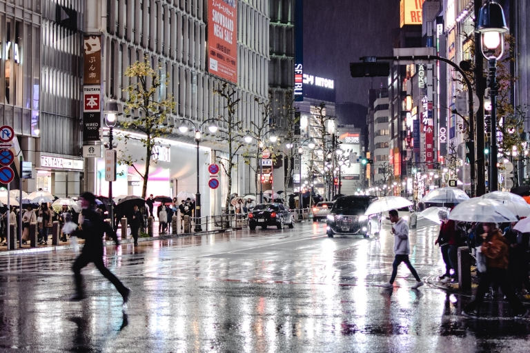 Tokio privétour per auto met ophaalservice