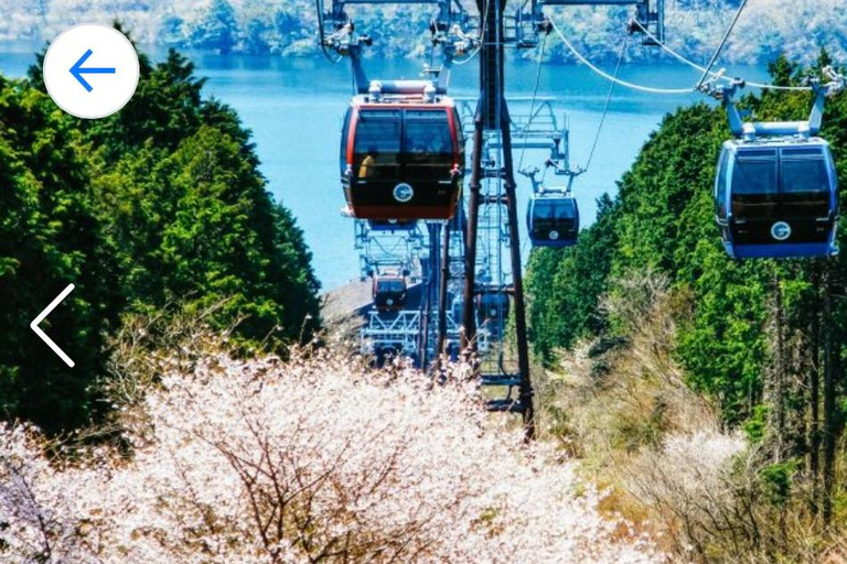 Från Tokyo: Privat resa till Fuji-berget och Kawaguchi-sjön