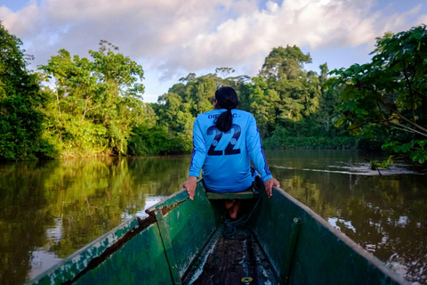 Manaus: City Tour with MUSA Museum and INPA Forest