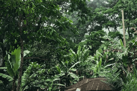 3-Day Materuni Waterfall, Chemka Hot Springs & Lake Eyasi