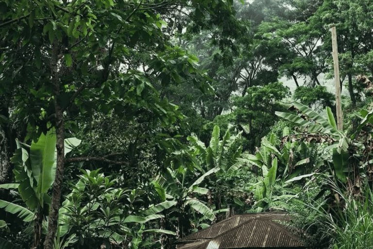 3-Day Materuni Waterfall, Chemka Hot Springs & Lake Eyasi