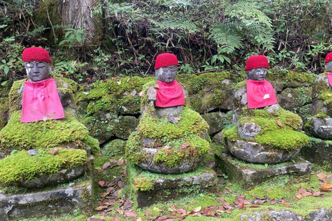 From Tokyo : Nikko Full Day Private Sightseeing Tour