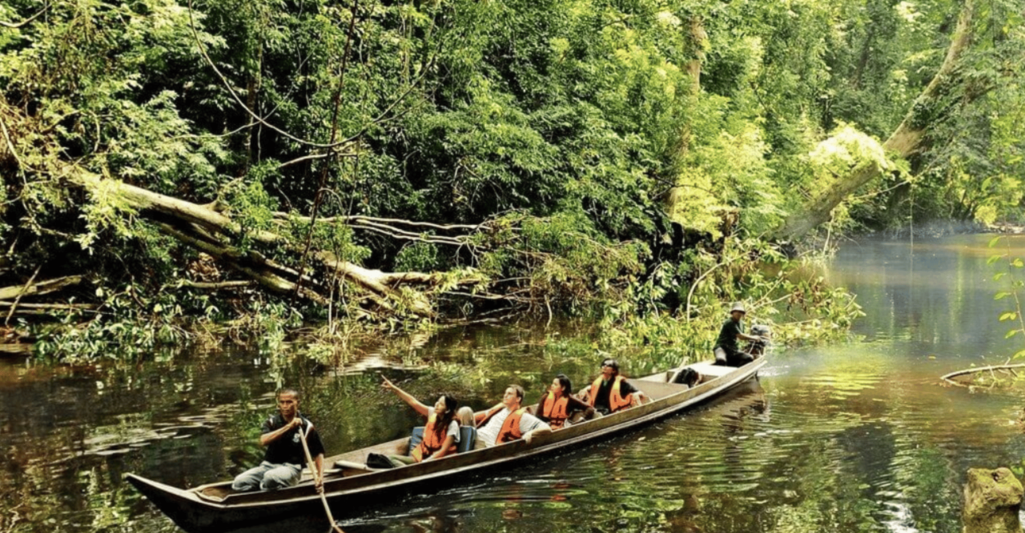 Da Kuala Lumpur, Taman Negara National Park Full-Day Tour - Hizvo