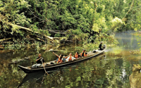 Von Kuala Lumpur, Taman Negara National Park Ganztägige Tour - Hizvo