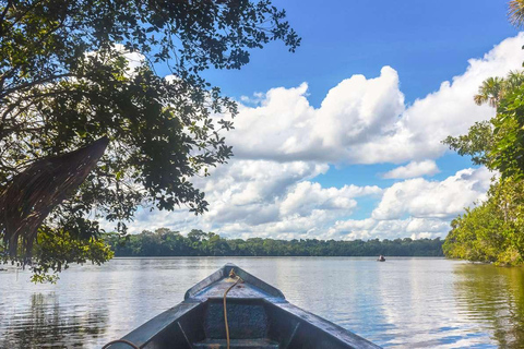 Puerto Maldonado - Aventure dans la jungle