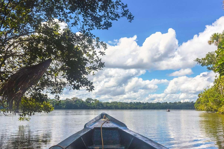 Puerto Maldonado - Aventure dans la jungle