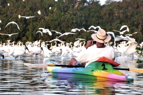 Zihuatanejo: Ridning och kajakpaddling