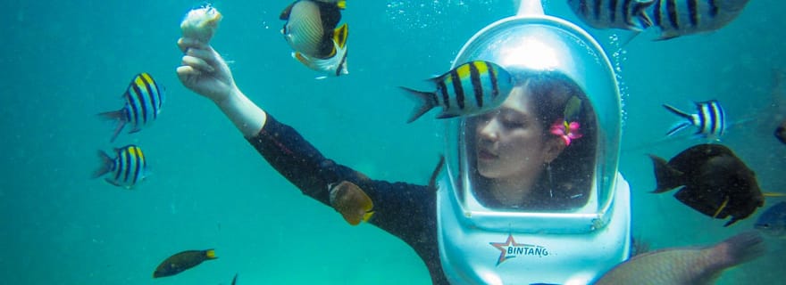 Bali : Expérience sous-marine à Nusa Dua avec déjeuner