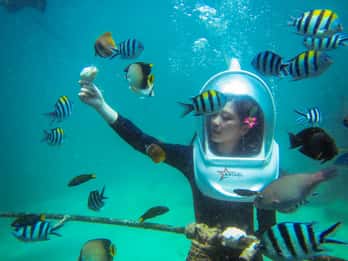Bali: Sea Walker Water Sport Experience with Hotel Transfer