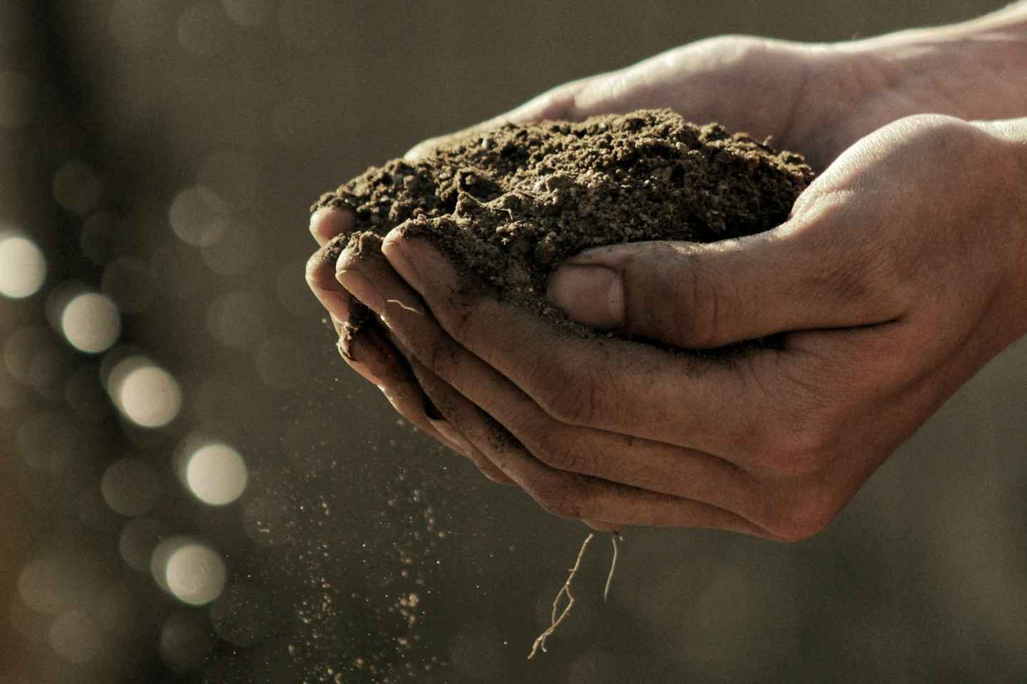 "A Day as a Farmer" Experience