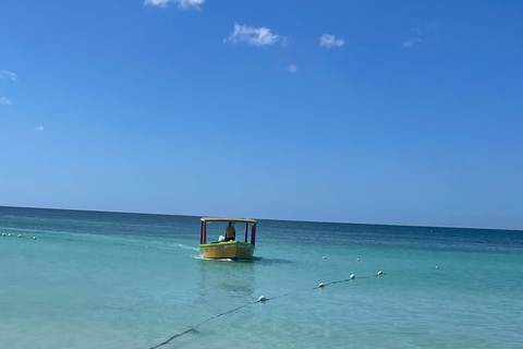 Negril 7 Miles Beach &amp; Booby Cay Tour in barca da Montego Bay