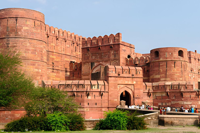 Taj Mahal, Agra Fort & Elephant Conservation Tour from Delhi All Inclusive Tour Option with Drop-off in Jaipur City