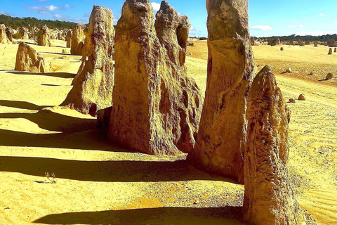 Excursion d&#039;une journée dans le désert des Pinnacles