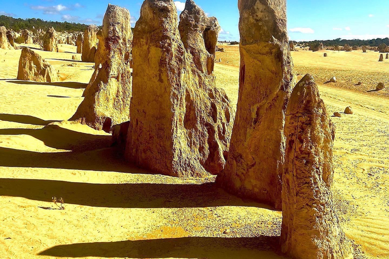 Excursion d&#039;une journée dans le désert des Pinnacles