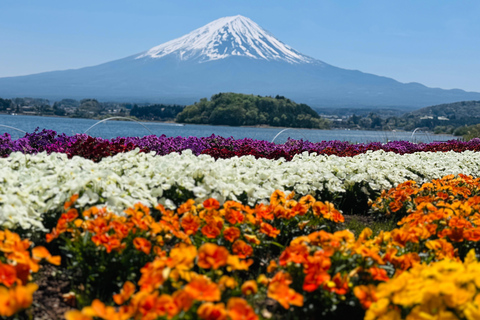 Tokyo: Private Daytrip to Mount Fuji - Fully Customizable Mt Fuji Private Luxury Van Tour (Customizable Experience)