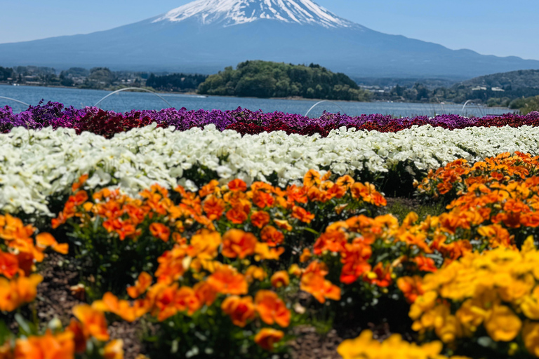Tokyo: Private Daytrip to Mount Fuji - Fully Customizable Mt Fuji Private Luxury Van Tour (Customizable Experience)