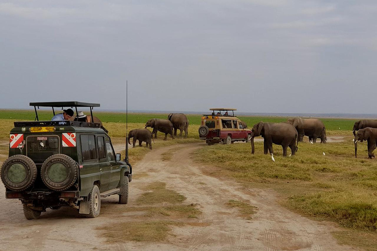 Safári de 3 dias na Reserva Nacional de Samburu