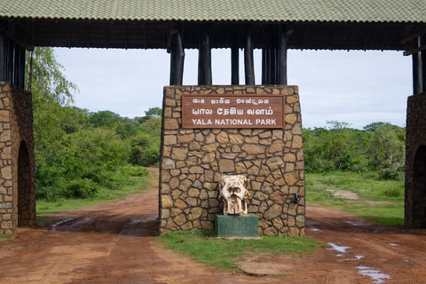 3-Day Yala & Bundala Wildlife Experience From Colombo.