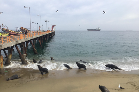 Valparaíso, Viña del Mar, Bodega, Leones Marinos y paseo en barcoValparaíso, Viña del Mar, Bodega, Leones Marinos y Paseo en Barco