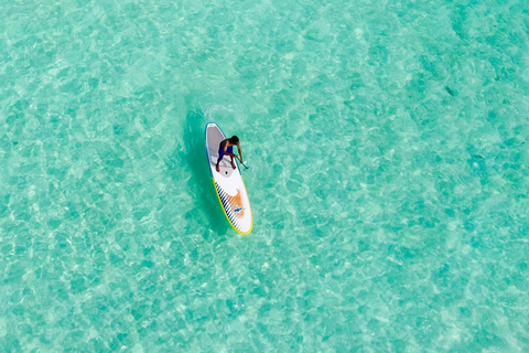 Moreton Island: Delphin und Tangalooma Wracks TagesausflugBootsfahrt ohne Abholung