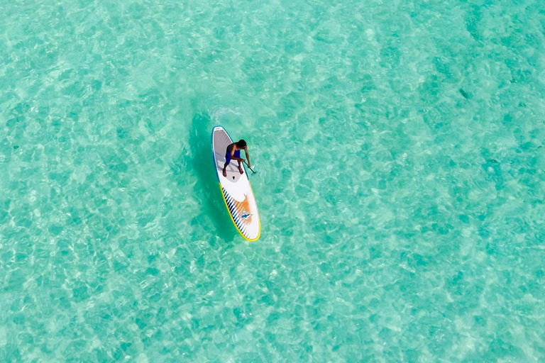 Moreton Island: Dolphin and Tangalooma Wrecks Day CruiseCruise without Pickup