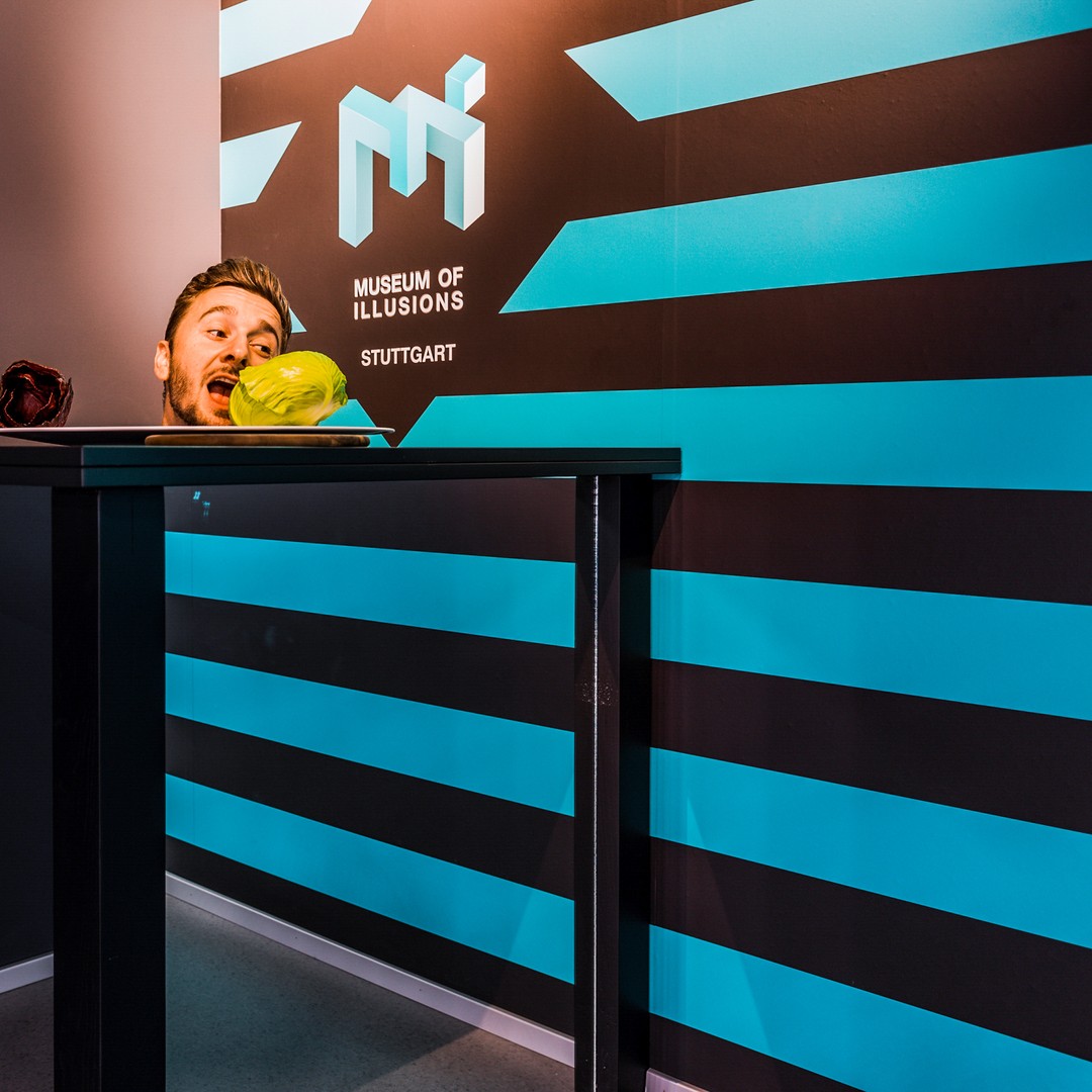 Galerie média