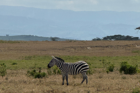 Lake Camping, Hell’s Gate, Quad bike & Crater Lake Naivasha